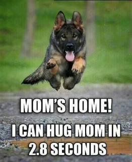 moms home 2.8 seconds to hug